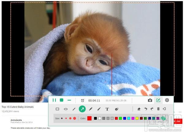 Apeaksoft screen recorder,Apeaksoft