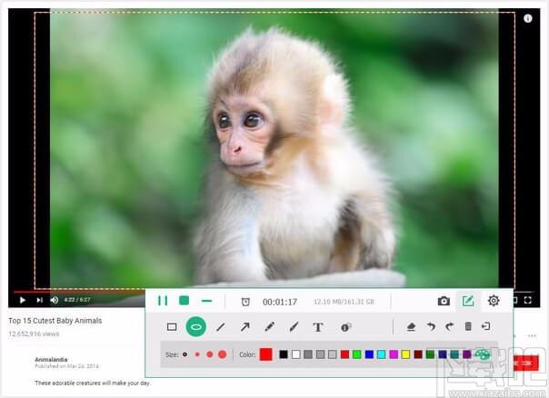 Apeaksoft screen recorder,Apeaksoft