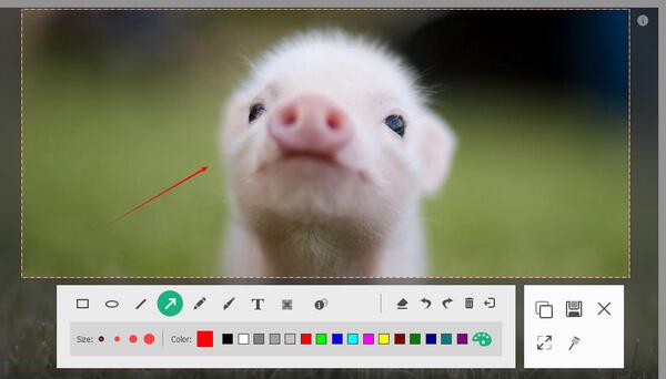 Apeaksoft screen recorder,Apeaksoft
